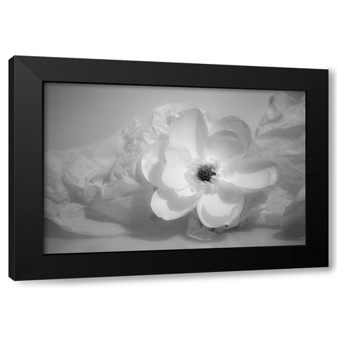 Black and white flower Black Modern Wood Framed Art Print with Double Matting by Beraldo, Zandina Muench