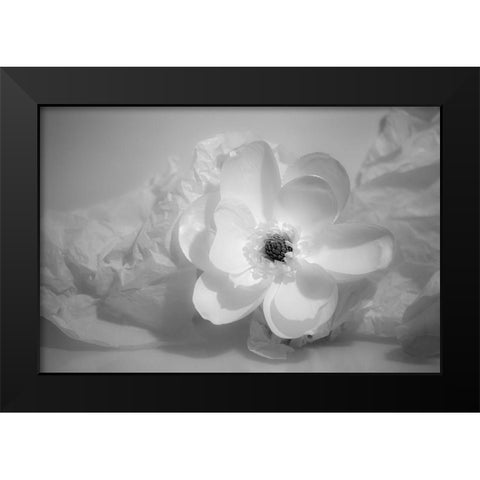 Black and white flower Black Modern Wood Framed Art Print by Beraldo, Zandina Muench