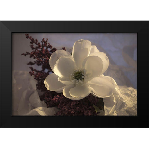 Close-up of flower Black Modern Wood Framed Art Print by Beraldo, Zandina Muench