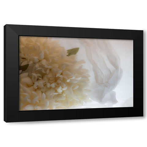 Close-up of flower Black Modern Wood Framed Art Print with Double Matting by Beraldo, Zandina Muench
