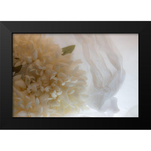 Close-up of flower Black Modern Wood Framed Art Print by Beraldo, Zandina Muench