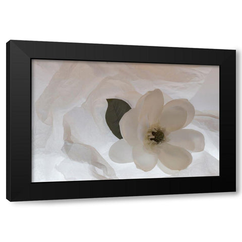 Close-up of flower Black Modern Wood Framed Art Print by Beraldo, Zandina Muench