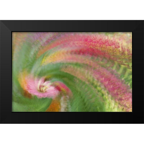Abstract swirl of pink flower Black Modern Wood Framed Art Print by Anon, Ellen