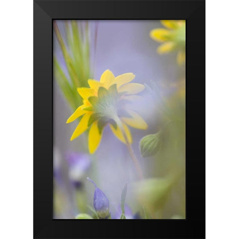 Close-up of wildflowers Black Modern Wood Framed Art Print by Anon, Ellen