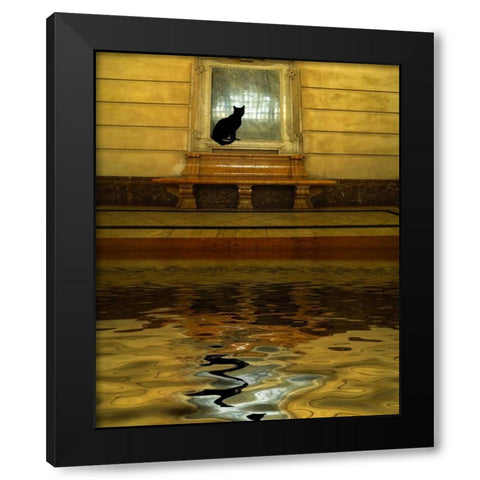 Concept of black cat and water Black Modern Wood Framed Art Print with Double Matting by Zuckerman, Jim