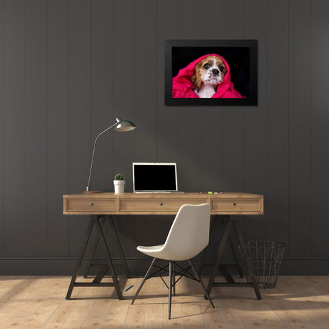 Cocker spaniel puppy covered with blanket Black Modern Wood Framed Art Print by Jaynes Gallery