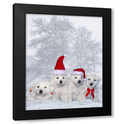 Great Pyrenees puppies with Christmas decorations Black Modern Wood Framed Art Print with Double Matting by Jaynes Gallery