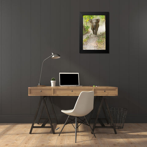 Asian Elephant charging Corbett National Park-India Black Modern Wood Framed Art Print by Rajput, Jagdeep