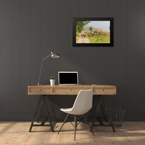 Asian Elephant family crossing the jungle track Corbett National Park-India Black Modern Wood Framed Art Print by Rajput, Jagdeep