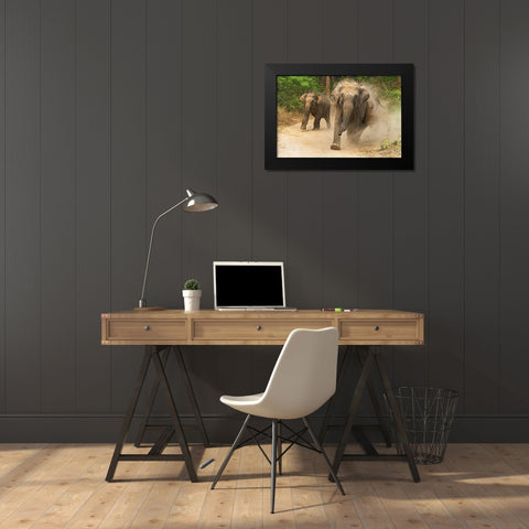 Asian Elephants charging-Corbett National Park-India Black Modern Wood Framed Art Print by Rajput, Jagdeep