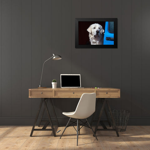 Great Pyrenees portrait Black Modern Wood Framed Art Print by Beraldo, Zandina Muench