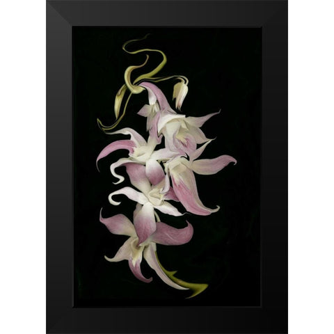 Abstract orchid artwork, digitally manipulated Black Modern Wood Framed Art Print by Anon, Ellen