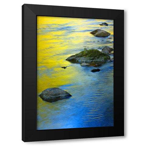 Colors Reflected in Water Black Modern Wood Framed Art Print by Miller, Anna