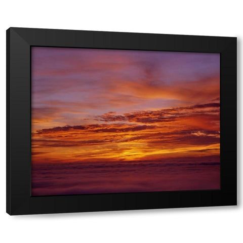 Sunset over the ocean from Cape Perpetua, OR, USA Black Modern Wood Framed Art Print by Terrill, Steve
