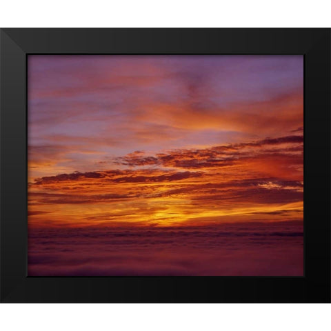 Sunset over the ocean from Cape Perpetua, OR, USA Black Modern Wood Framed Art Print by Terrill, Steve