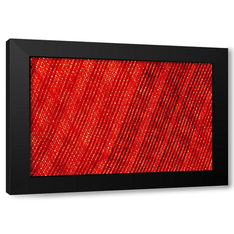 Colorful fabric detail Black Modern Wood Framed Art Print by Muench, Zandria