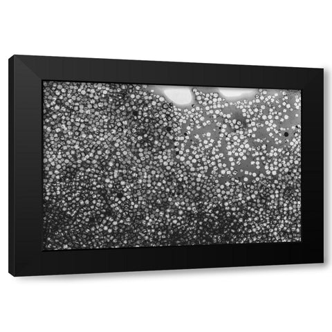 Beet juice and salt crystals Black Modern Wood Framed Art Print by Muench, Zandria