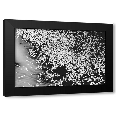 Beet juice and salt crystals Black Modern Wood Framed Art Print with Double Matting by Muench, Zandria