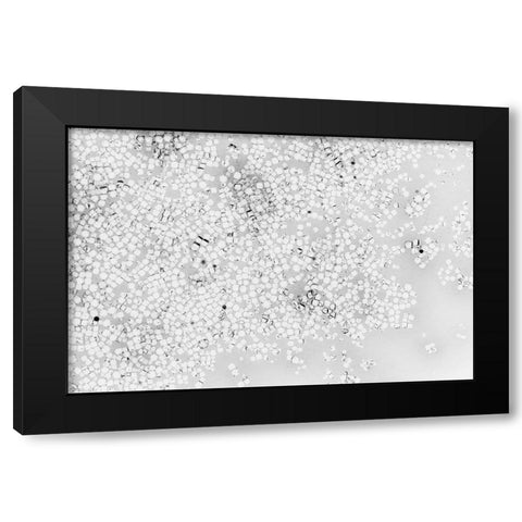 Beet juice and salt crystals Black Modern Wood Framed Art Print with Double Matting by Muench, Zandria