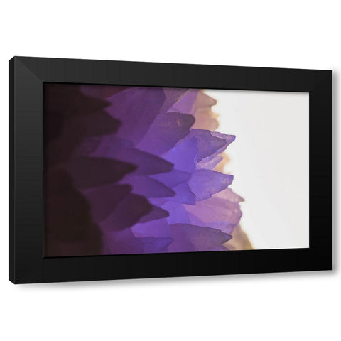 Rose Quartz Black Modern Wood Framed Art Print by Muench, Zandria