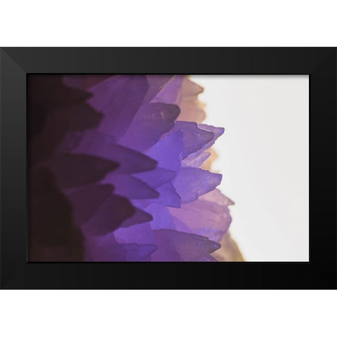 Rose Quartz Black Modern Wood Framed Art Print by Muench, Zandria