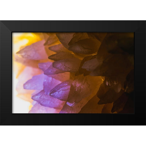 Rose Quartz Black Modern Wood Framed Art Print by Muench, Zandria