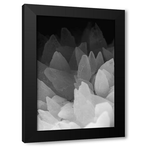 Rose Quartz Black Modern Wood Framed Art Print by Muench, Zandria