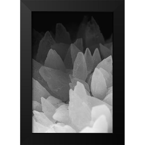 Rose Quartz Black Modern Wood Framed Art Print by Muench, Zandria