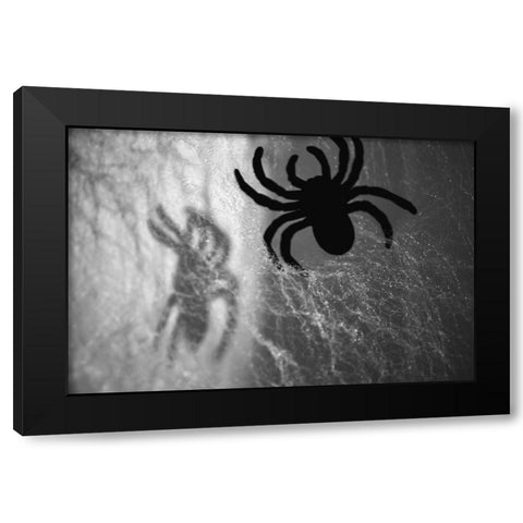 Spider on web Black Modern Wood Framed Art Print by Muench, Zandria