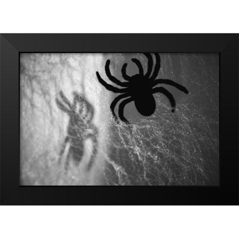 Spider on web Black Modern Wood Framed Art Print by Muench, Zandria