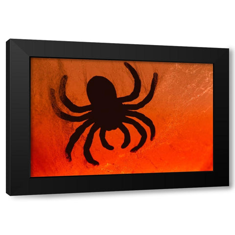 Spider on web Black Modern Wood Framed Art Print with Double Matting by Muench, Zandria