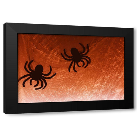 Spider on web Black Modern Wood Framed Art Print with Double Matting by Muench, Zandria
