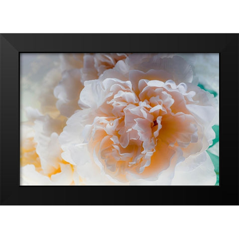 Flowers and light Black Modern Wood Framed Art Print by Muench, Zandria