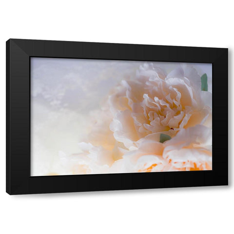 Flowers and light Black Modern Wood Framed Art Print by Muench, Zandria