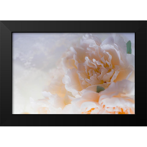 Flowers and light Black Modern Wood Framed Art Print by Muench, Zandria