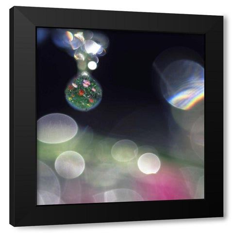 Dew on flowers with flower field in one drop Black Modern Wood Framed Art Print with Double Matting by Satushek, Steve