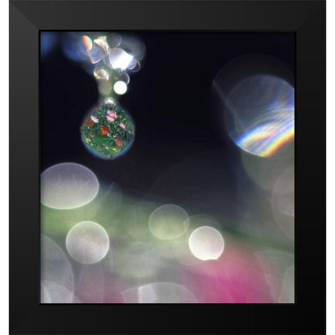 Dew on flowers with flower field in one drop Black Modern Wood Framed Art Print by Satushek, Steve