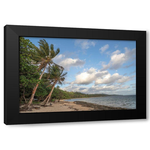 Fiji-Viti Levu Beach with palm trees and white clouds Black Modern Wood Framed Art Print with Double Matting by Merrill Images