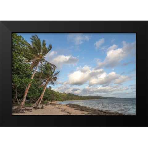 Fiji-Viti Levu Beach with palm trees and white clouds Black Modern Wood Framed Art Print by Merrill Images