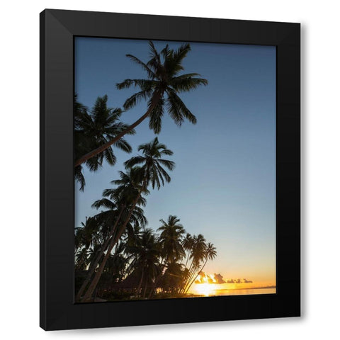 Fiji-Vanua Levu Beach sunset with palm trees Black Modern Wood Framed Art Print with Double Matting by Merrill Images