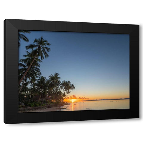 Fiji-Vanua Levu Beach sunset with palm trees Black Modern Wood Framed Art Print with Double Matting by Merrill Images