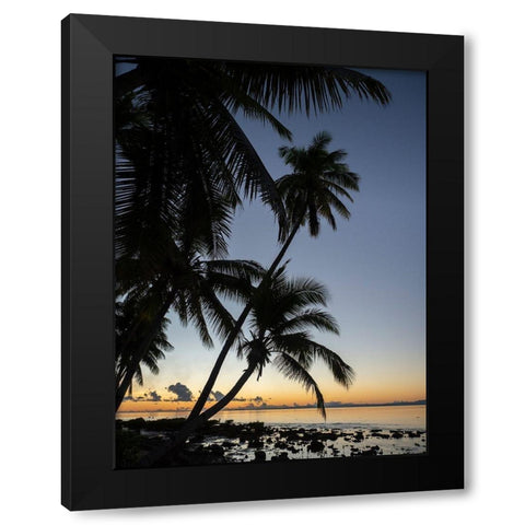 Fiji-Vanua Levu Beach sunset with palm trees Black Modern Wood Framed Art Print with Double Matting by Merrill Images