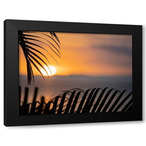 Fiji-Vanua Levu Palm fronds silhouetted in sunset over the ocean Black Modern Wood Framed Art Print by Merrill Images