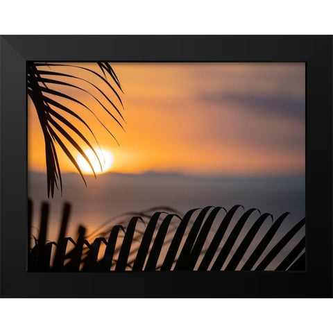 Fiji-Vanua Levu Palm fronds silhouetted in sunset over the ocean Black Modern Wood Framed Art Print by Merrill Images