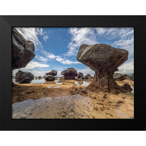 Fiji-Taveuni Island Rock formations on the beach of Lavena showing erosion Black Modern Wood Framed Art Print by Merrill Images