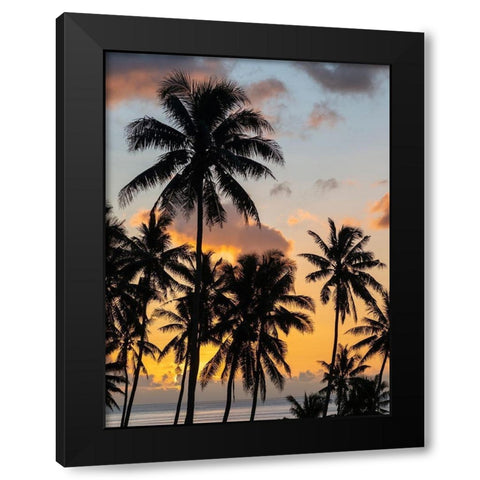 Fiji-Taveuni Island Beach sunset with palm trees Black Modern Wood Framed Art Print with Double Matting by Merrill Images