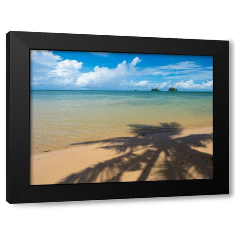 Fiji-Taveuni Island Silhouette of a palm tree on sandy beach with blue sky Black Modern Wood Framed Art Print by Merrill Images