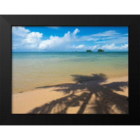Fiji-Taveuni Island Silhouette of a palm tree on sandy beach with blue sky Black Modern Wood Framed Art Print by Merrill Images