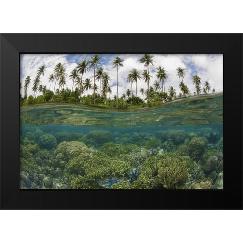 Solomon Islands Reef and island palm trees Black Modern Wood Framed Art Print by Shimlock, Jones