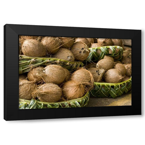 Polynesia, Kingdom of Tonga Coconuts for sale Black Modern Wood Framed Art Print by Kaveney, Wendy